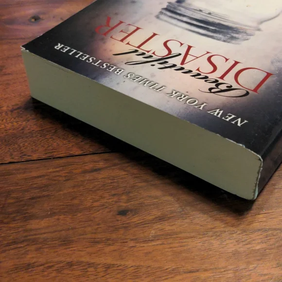 Beautiful Disaster Book - Picture 5 of 8